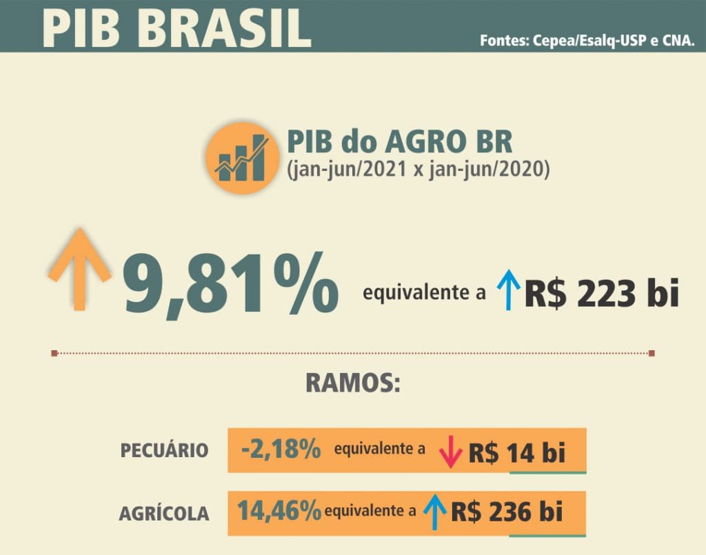 PIB Agro Cepea 15 09 2021 1024x805 1