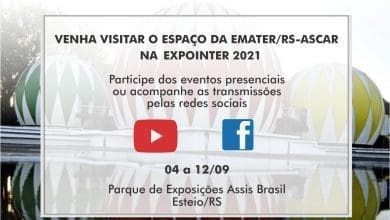 emater expointer programacao