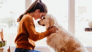 beautiful woman hugging her adorable golden retriever dog at home picture id1204274948 760x450 1