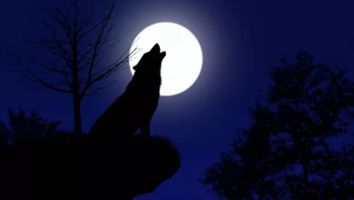 A Lua do Lobo ocorre dia 17 de janeiro entre constelacoes