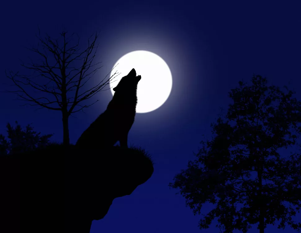 A Lua do Lobo ocorre dia 17 de janeiro entre constelacoes
