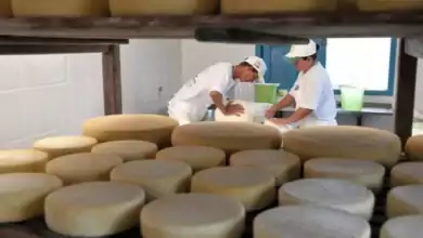 queijos artesanais selo arte 640x424 1