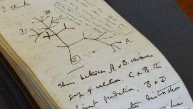 Cadernos de Darwin reaparecem misteriosamente apos 22 anos