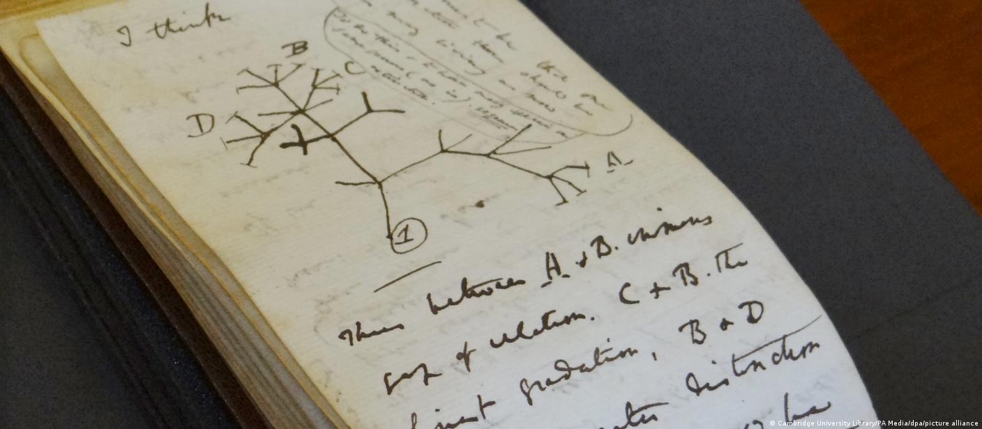 Cadernos de Darwin reaparecem misteriosamente apos 22 anos