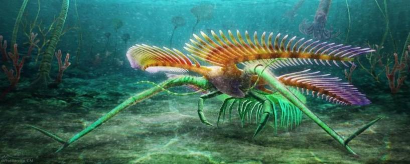 Criatura sem olhos e encontrada por paleontologos