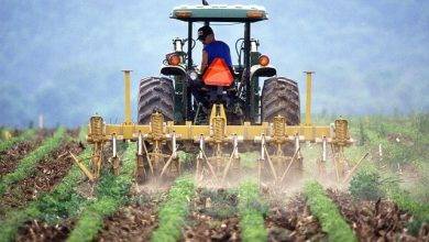 Decreto concede desconto no credito rural de agricultores familiares