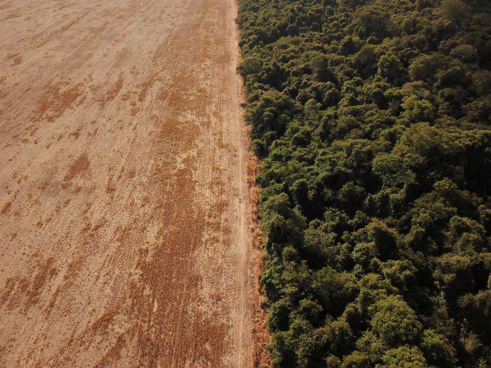 Desmatamento da Amazonia brasileira bate recorde no primeiro trimestre de 2022
