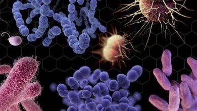 Nova pandemia pode ser causada por superbacterias em aguas sem tratamento alerta Pnuma