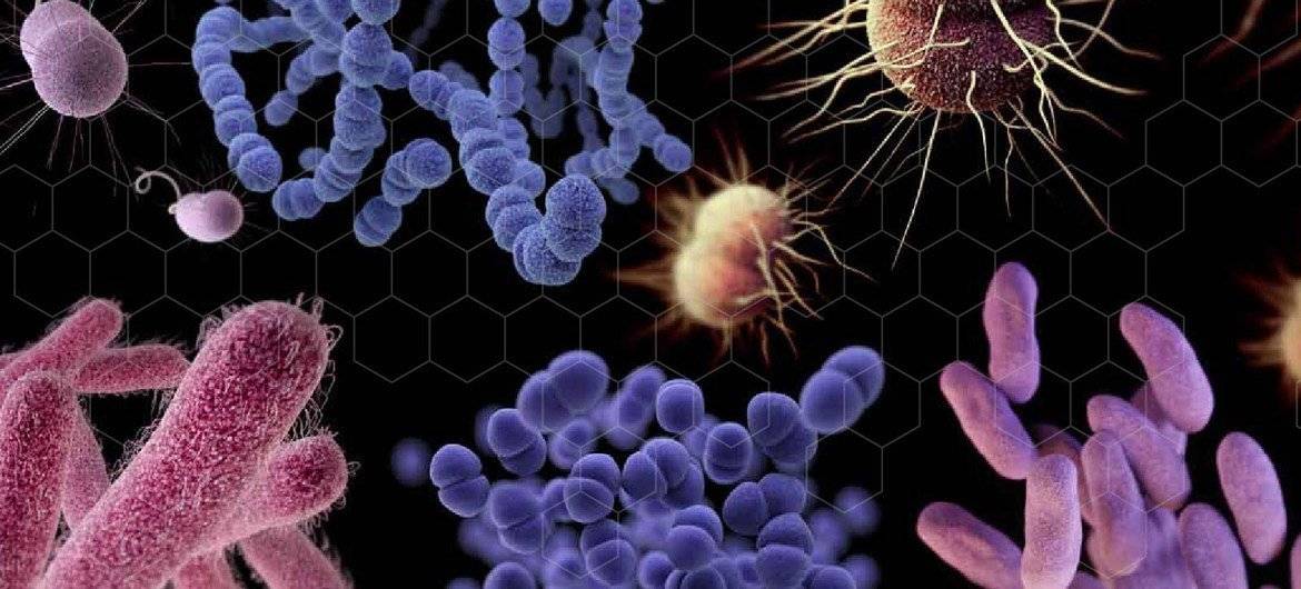 Nova pandemia pode ser causada por superbacterias em aguas sem tratamento alerta Pnuma