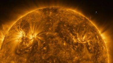 O Sol como voce nunca viu ESA divulga fotos da superficie solar