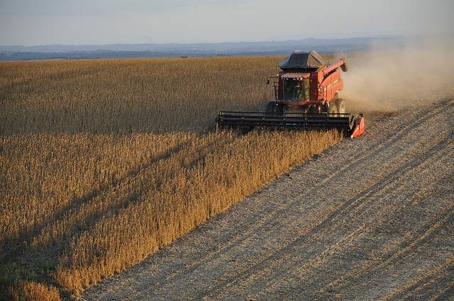 Soja colheita atinge 804 veja os estados mais avancados