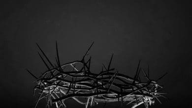 crown of thorns g414651926 1280