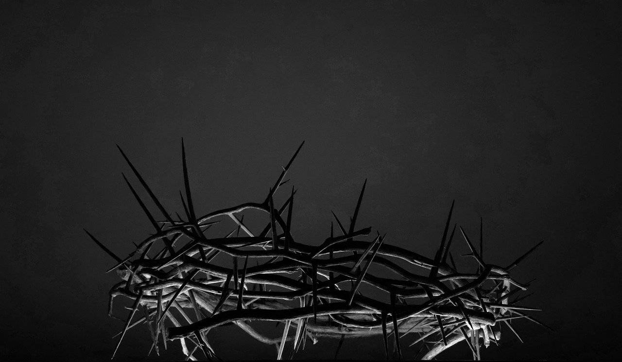 crown of thorns g414651926 1280