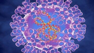 Alemanha recomenda quarentena contra variola dos macacos