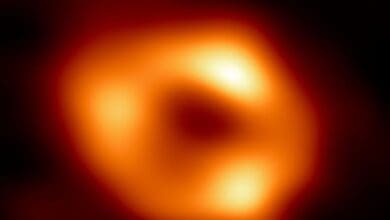 Astronomos divulgam primeiras imagens de buraco negro da Via Lactea