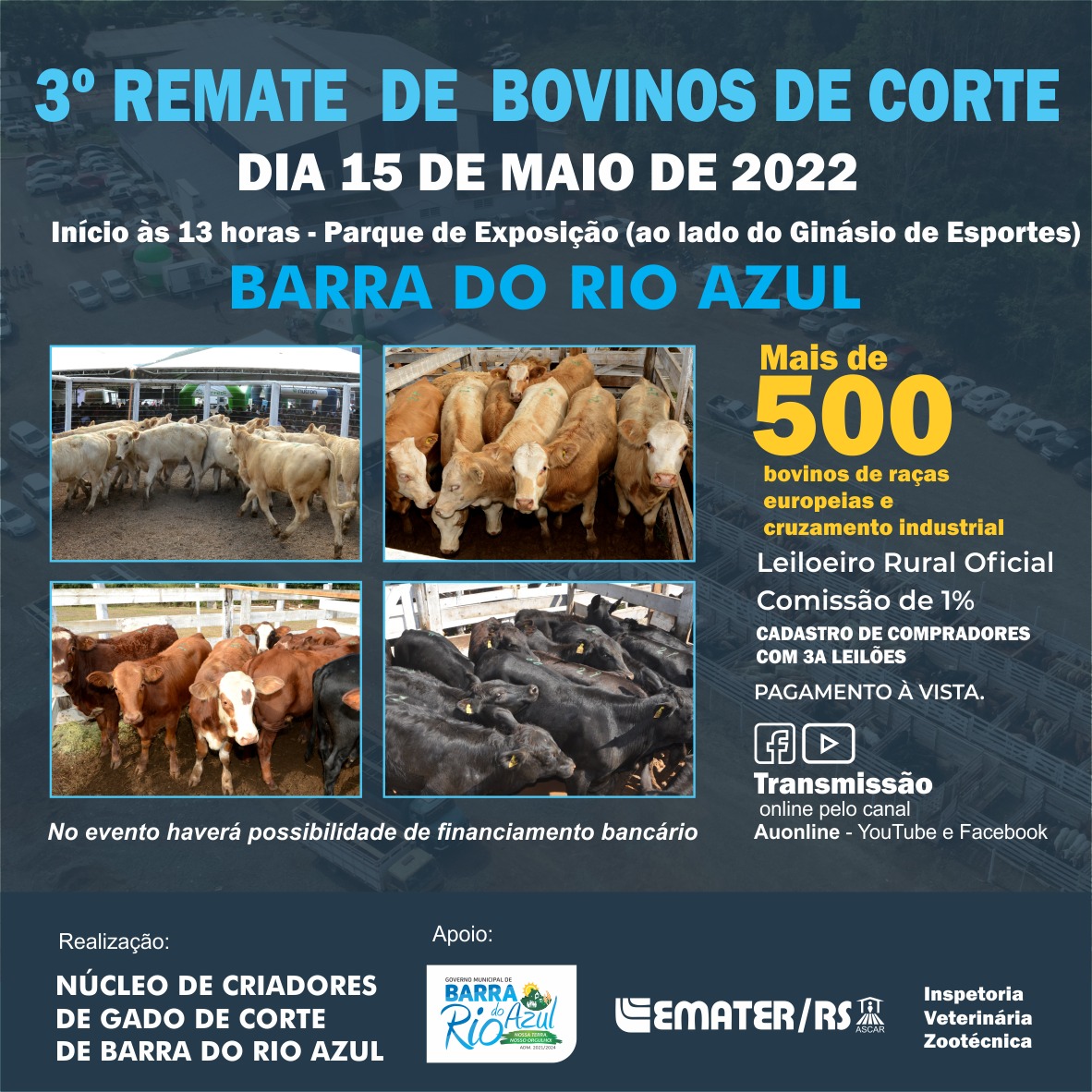 Barra do Rio Azul vai realizar remate de bovinos de corte no dia 15 de maio