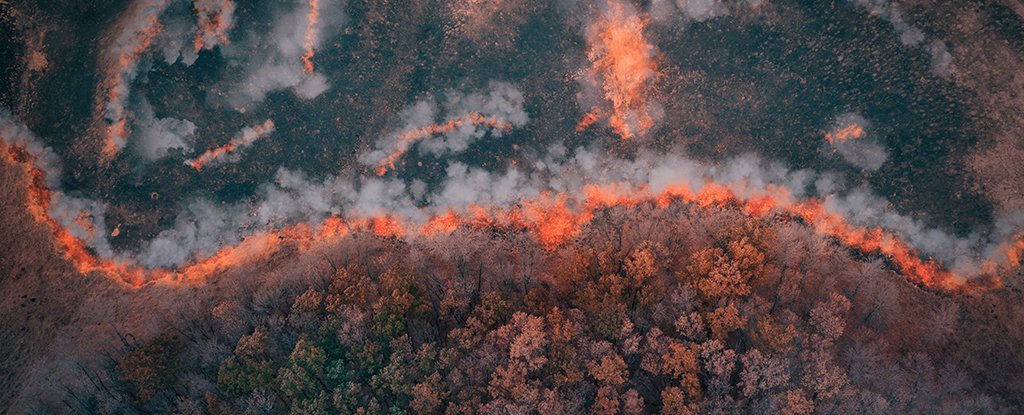 Cientistas encontraram os incendios mais antigos registrados