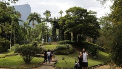 Jardim Botanico do Rio completa 214 anos tentando recuperar publico