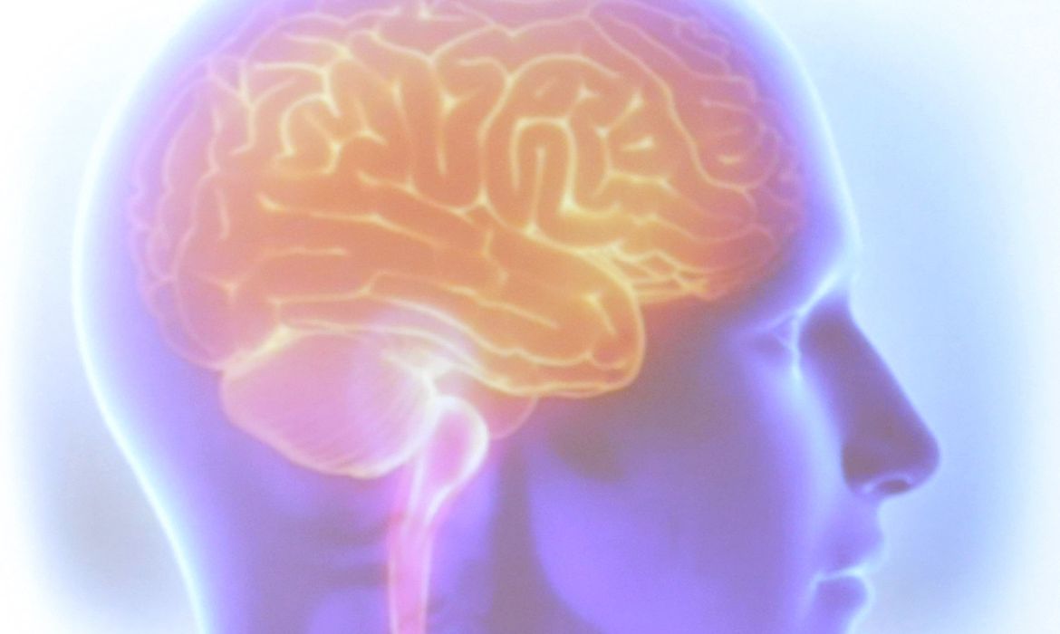 Lapsos de memoria podem nao significar doenca mental diz psiquiatra