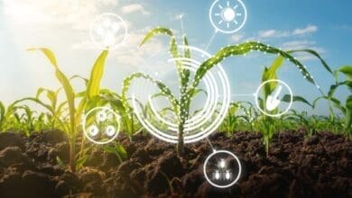 Ministerio da Agricultura lanca programa Agro Hub Brasil