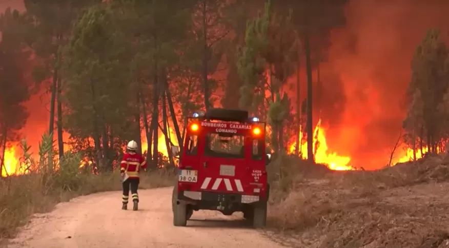 Onda de calor escaldante provoca incendios florestais na Europa