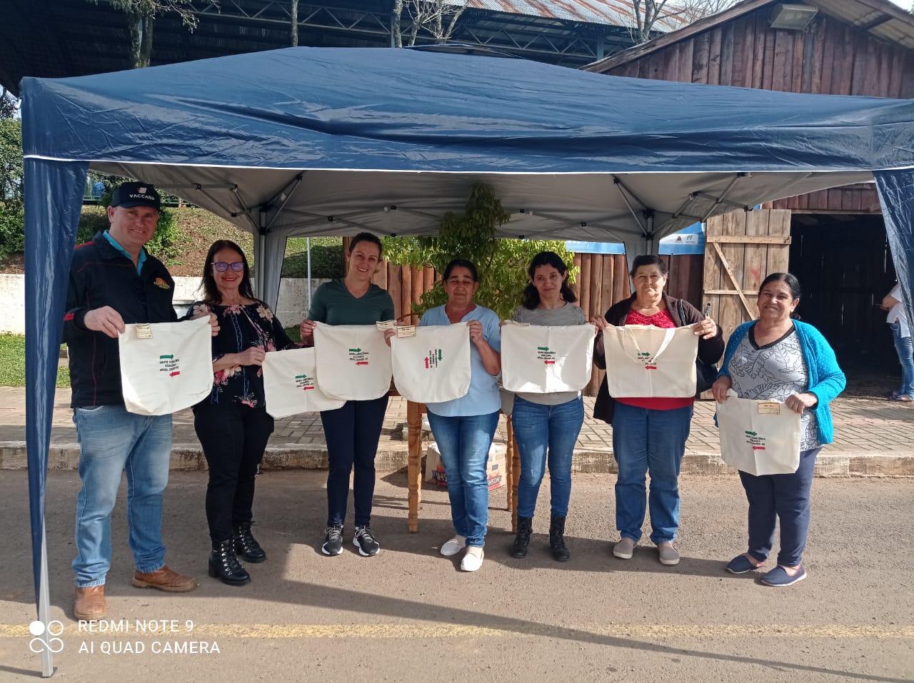 Voluntarias produzem e distribuem sacolas retornaveis em Erval Grande.