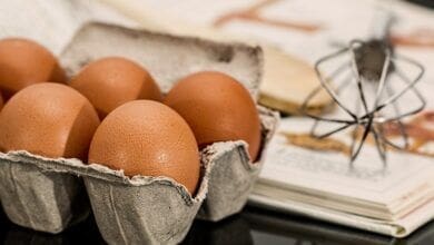 Estudos afirmam que o consumo de ovo na infancia ajuda no desenvolvimento do cerebro