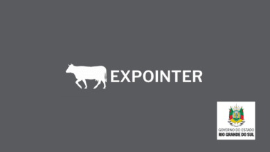 Expointer 2022 recebe 5.093 inscricoes de animais de argola