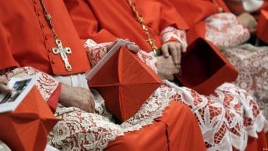 Papa faz futuro da Igreja com 20 novos cardeais 2 do Brasil
