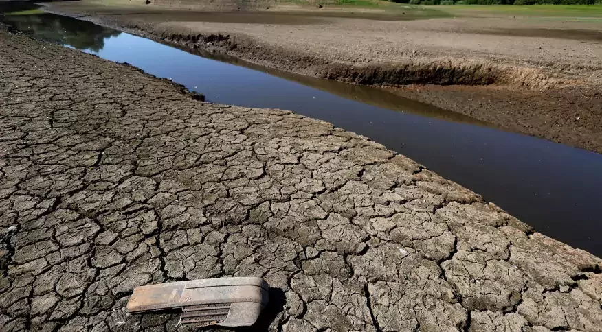 Reino Unido declara seca em partes da Inglaterra durante onda de calor