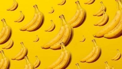 22 de setembro Dia mundial da Banana