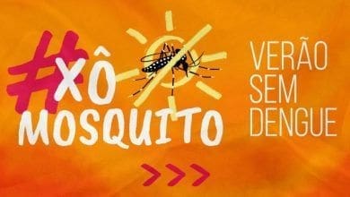 Contra a dengue campanha XoMosquito busca combater criadouros