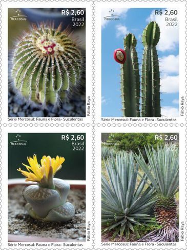 Correios lancam selo em homenagem a flora brasileira