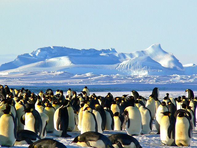 Programa antartico brasileiro tera novo navio de pesquisa em 2025