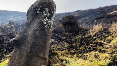 Incendio florestal atinge estatuas da Ilha de Pascoa