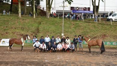 Fenagro abriga a 11a Exposicao Morfologica de Cavalo Crioulo