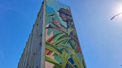 Inaugurado mural de 50 metros de altura no predio do IPE