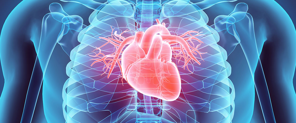 Inteligencia Artificial preve risco de doenca cardiaca usando raio X
