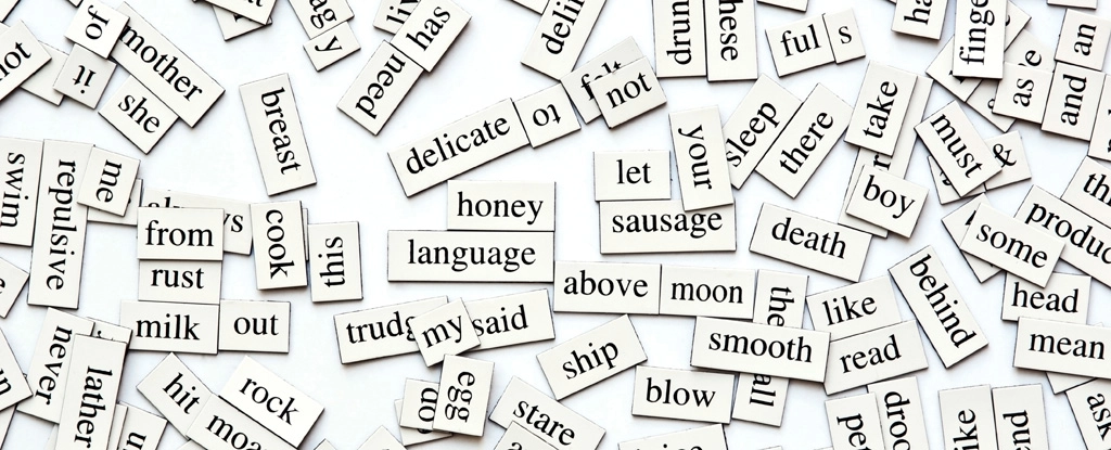 1000 palavras mais usadas em inglês - English Experts