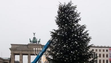 Ativistas do clima cortam arvore de Natal em Berlim