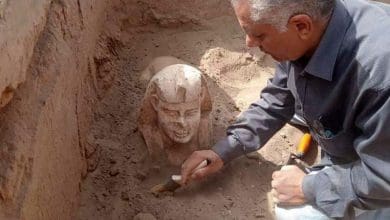 A curiosa esfinge sorridente descoberta em escavacao no Egito