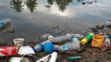 Brasil gerou 64 quilos de residuos plasticos por pessoa em 2022