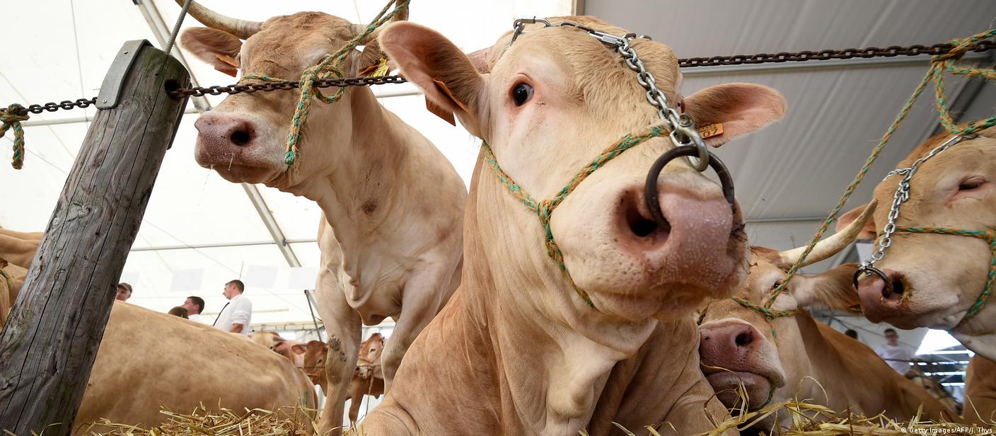 Parlamento holandes aprova mocao contra acordo Mercosul UE