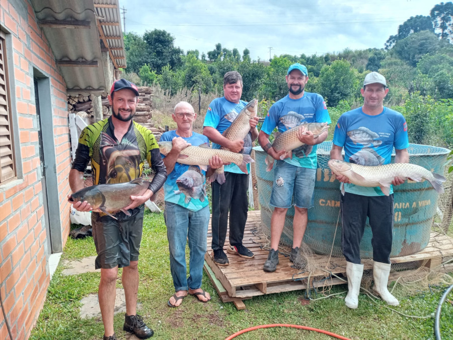 Produtores vendem Peixe Vivo nas propriedades