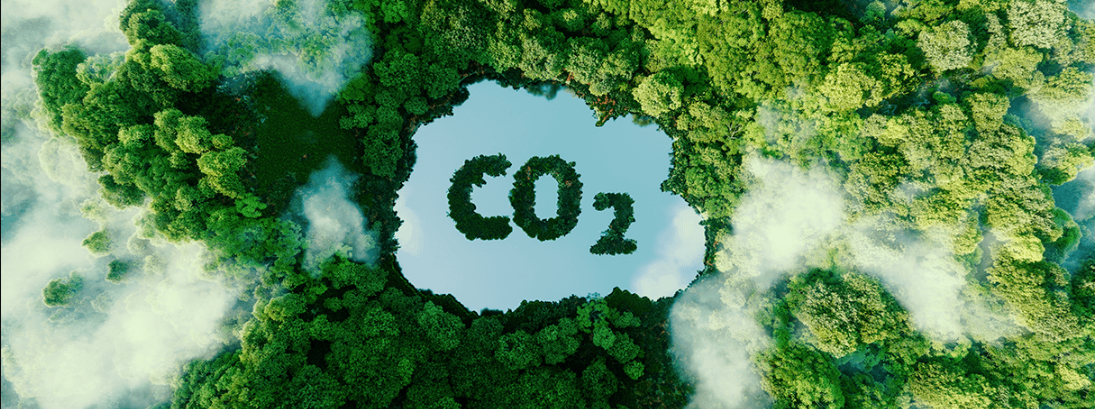Projeto que regula captura de CO2 e aprovado em Comissao do Senado