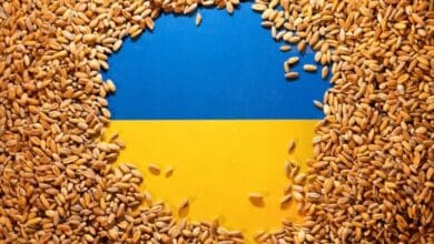 Ucrania colheu 23 milhoes de toneladas de graos durante a guerra