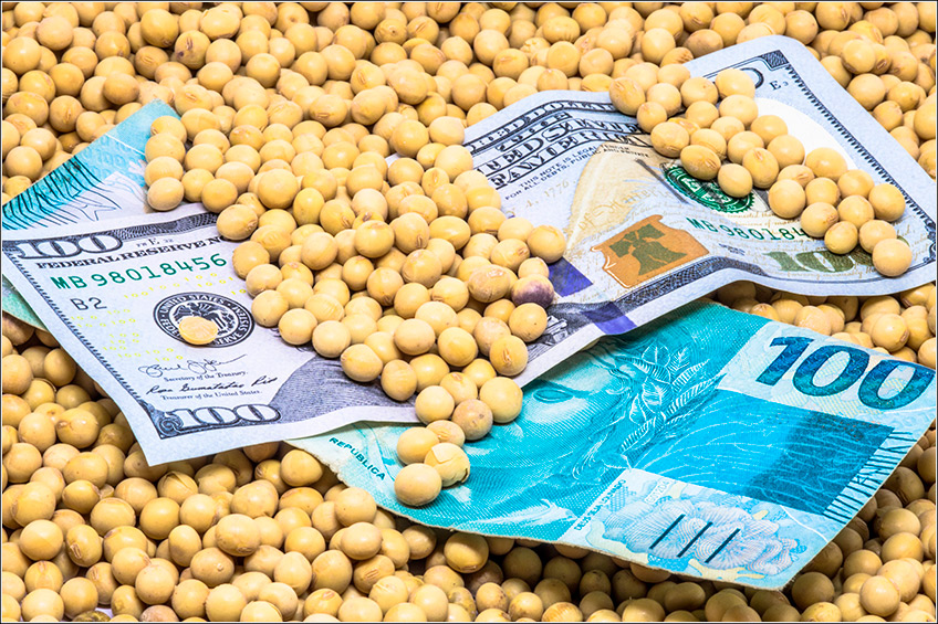 mercado de soja foto com sementes e notas de dinheiro