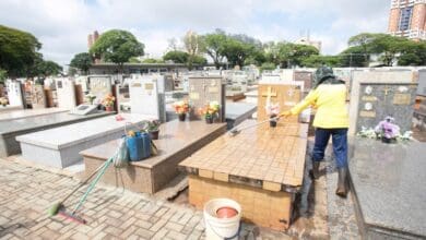 Limpeza dos tumulos nos cemiterios municipais de Erechim vai ate dia 31 deste mes