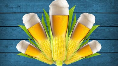 Cerveja geneticamente modificada comeca a ser desenvolvida para melhorar o sabor