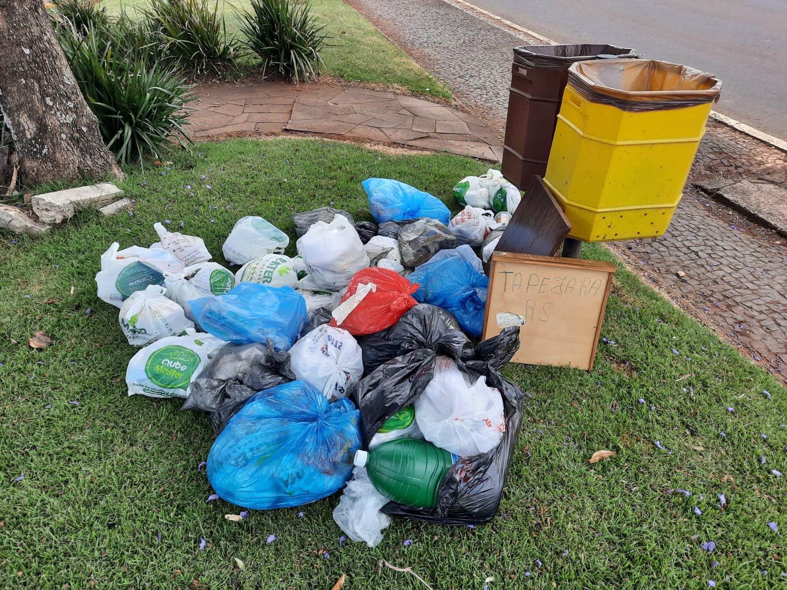 Secretaria de Meio Ambiente realiza acao educativa contra o descarte irregular de lixo nos Canteiros Centrais